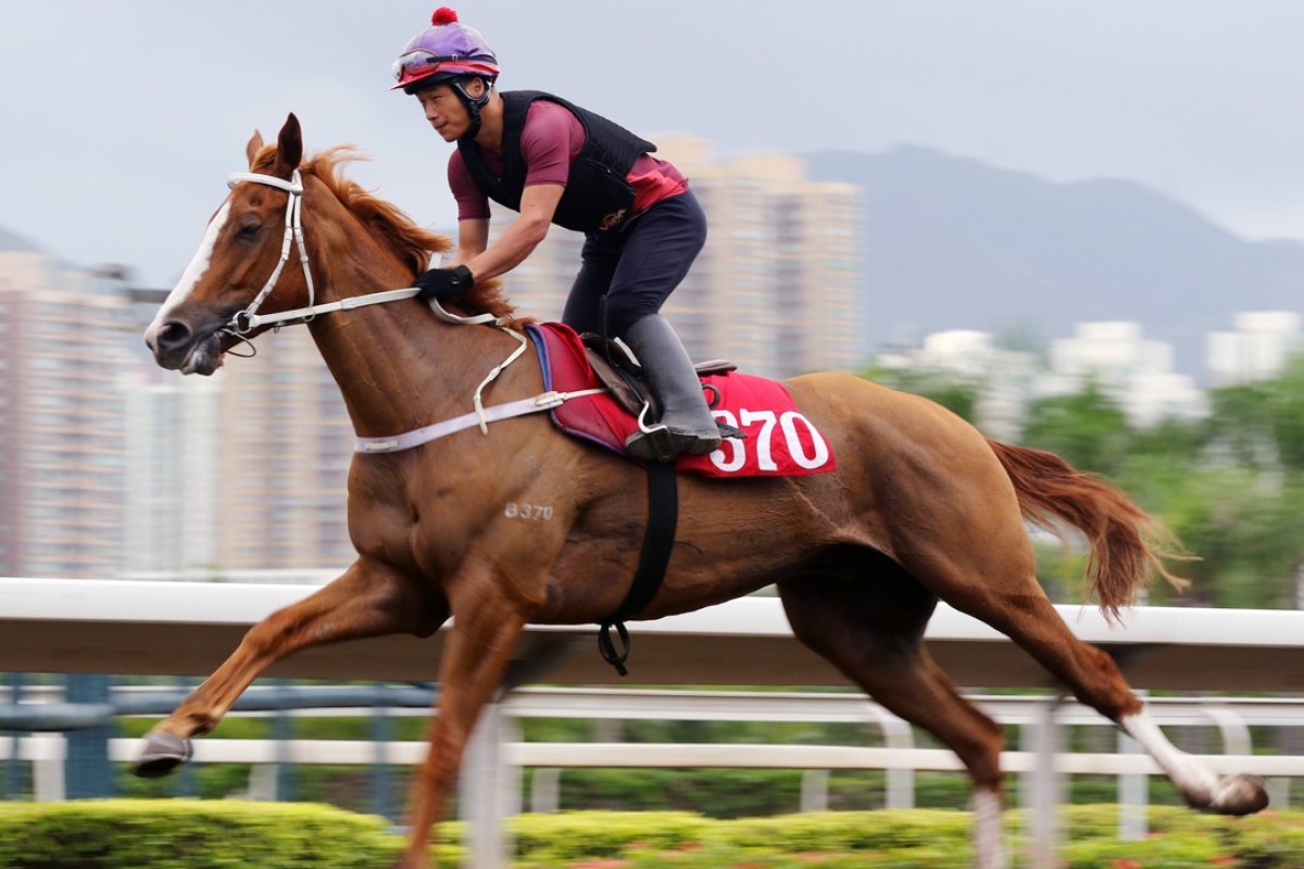 Pakistan Friend works at Sha Tin this week. Photos: Kenneth Chan.