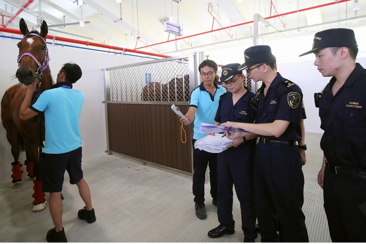 Horses get inspected by quarantine officials at Conghua Racecourse. Photo: HKJC