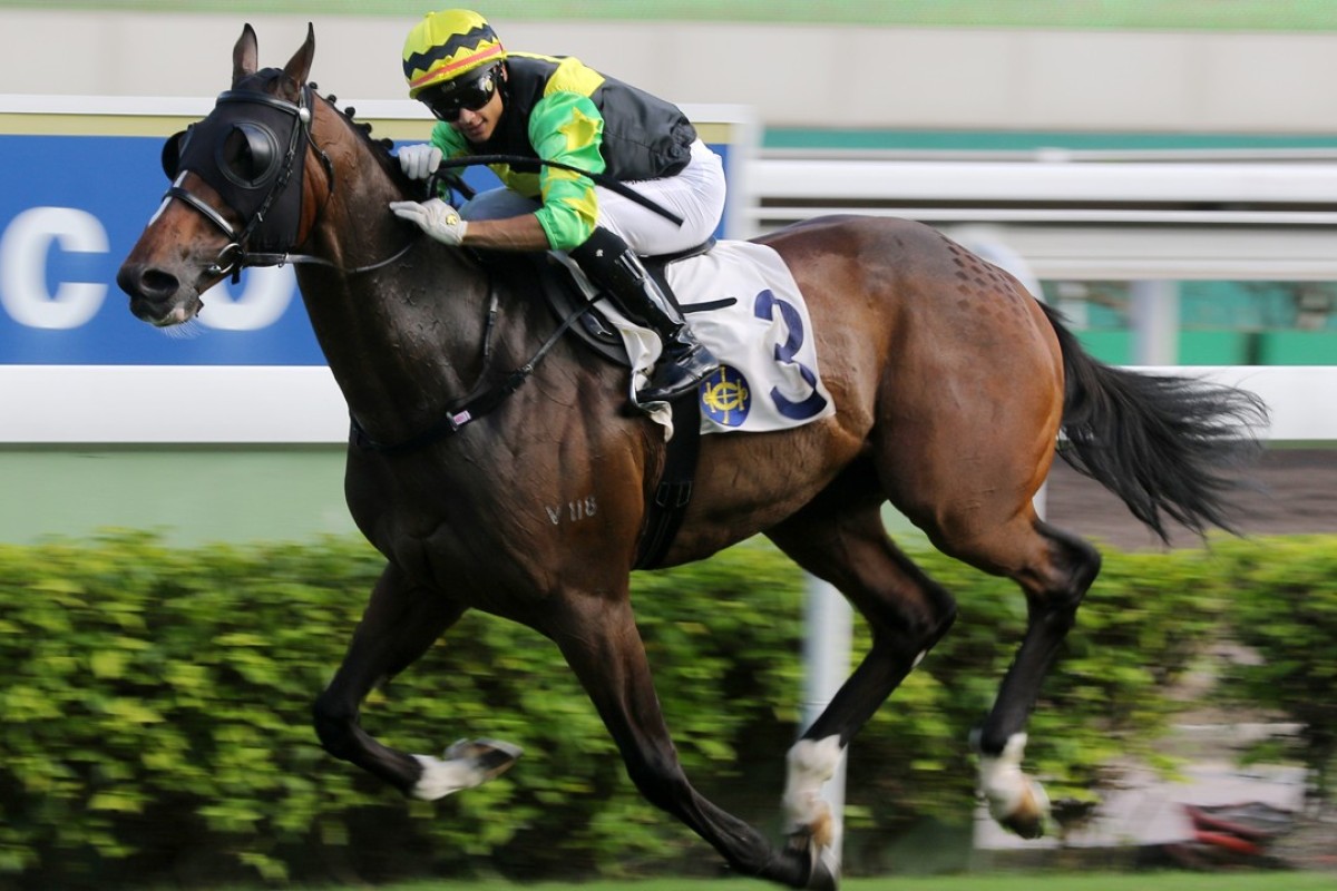 Grant van Niekerk boots Gorgeous King home. Photos: Kenneth Chan