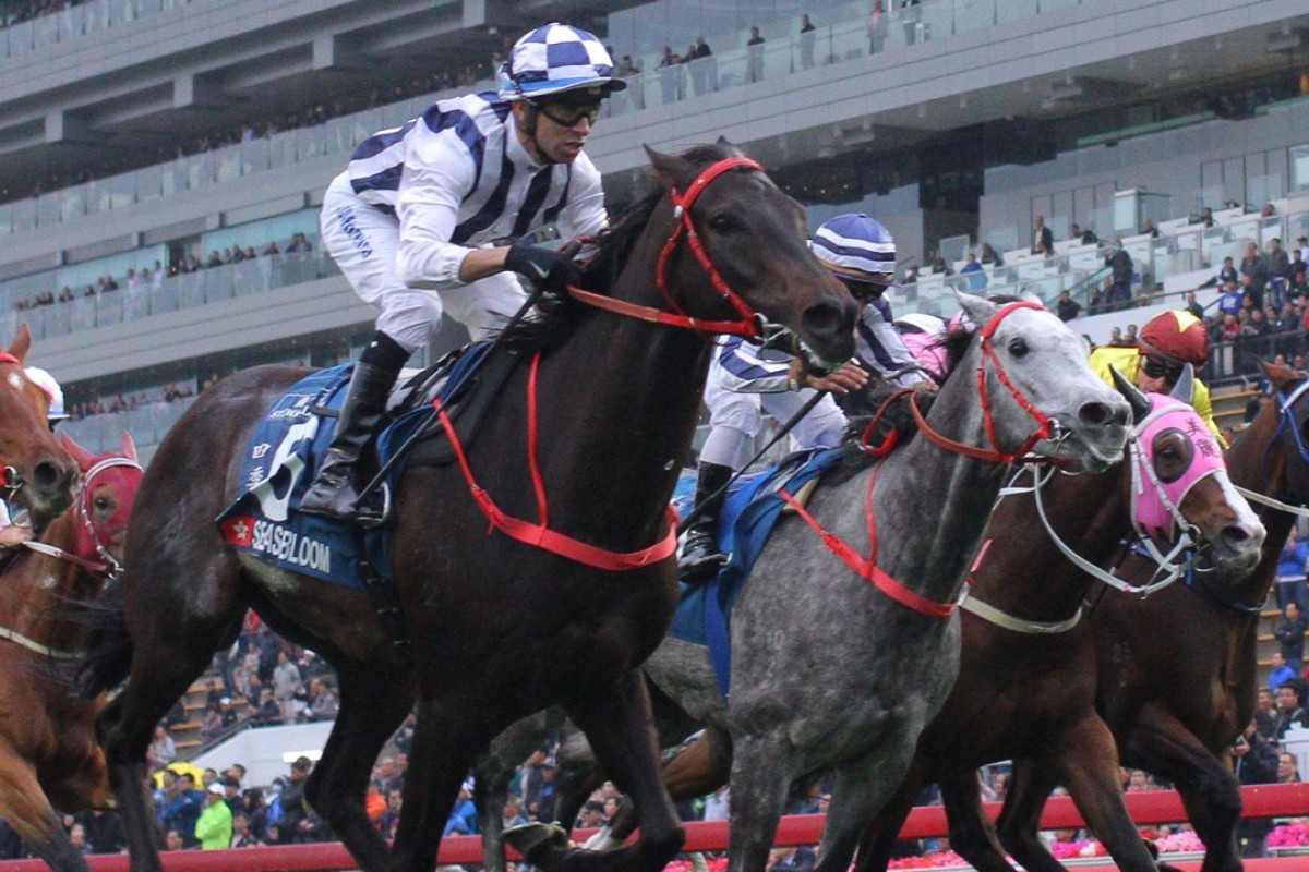 Seasons Bloom beats Fifty Fifty in the Stewards’ Cup in January. Photos: Kenneth Chan