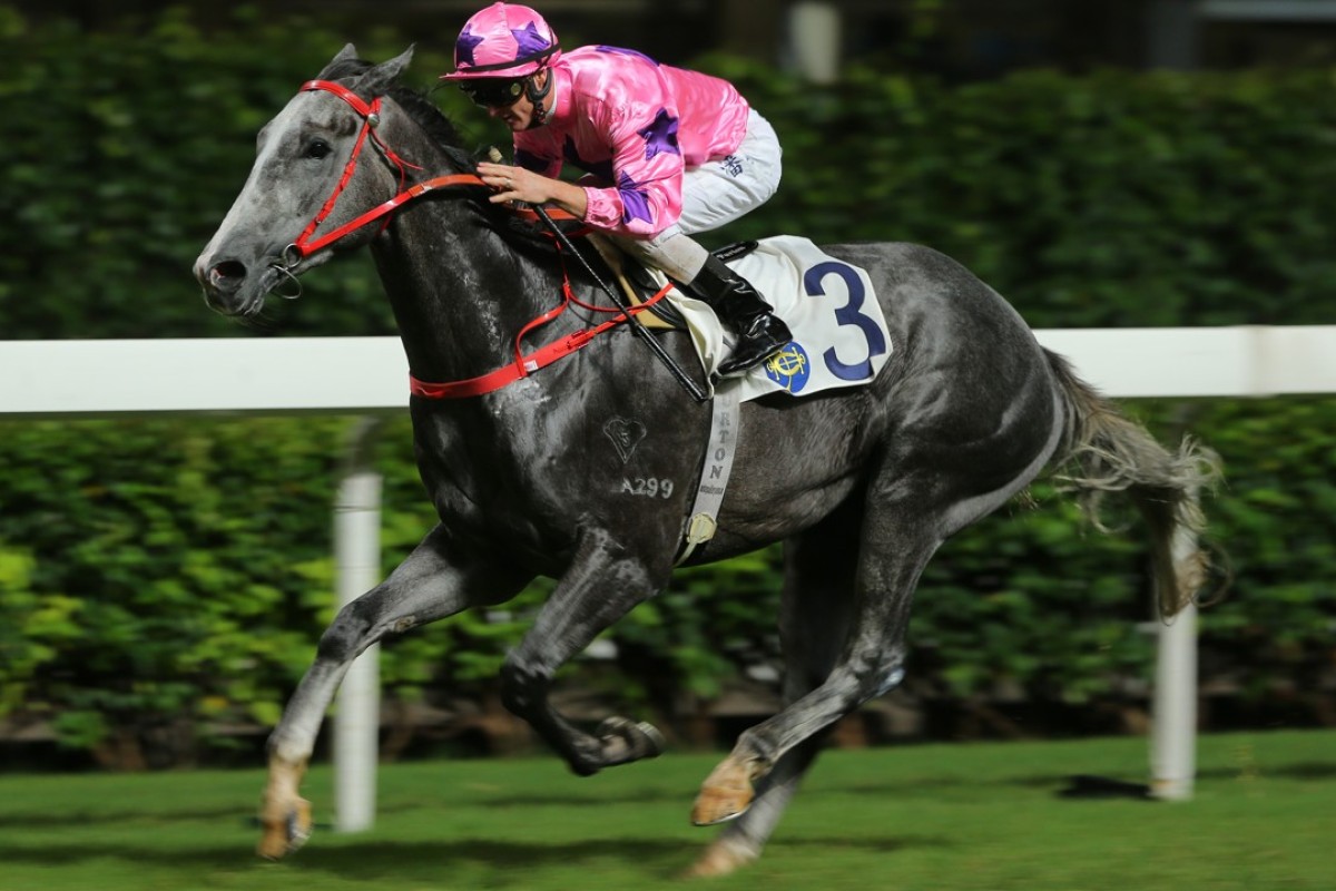 Hot King Prawn wins under Zac Purton at Happy Valley. Photos: Kenneth Chan