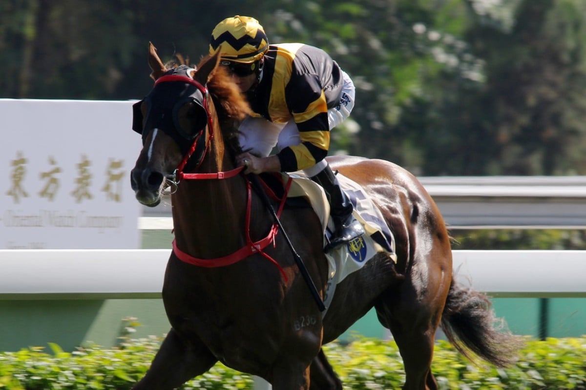 Glorious Forever wins again at Sha Tin on Sunday. Photos: Kenneth Chan