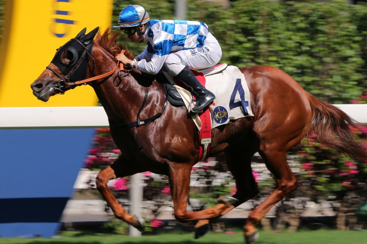 Matthew Chadwick drives Nordic Warrior to victory at Happy Valley on Sunday. Photos: Kenneth Chan
