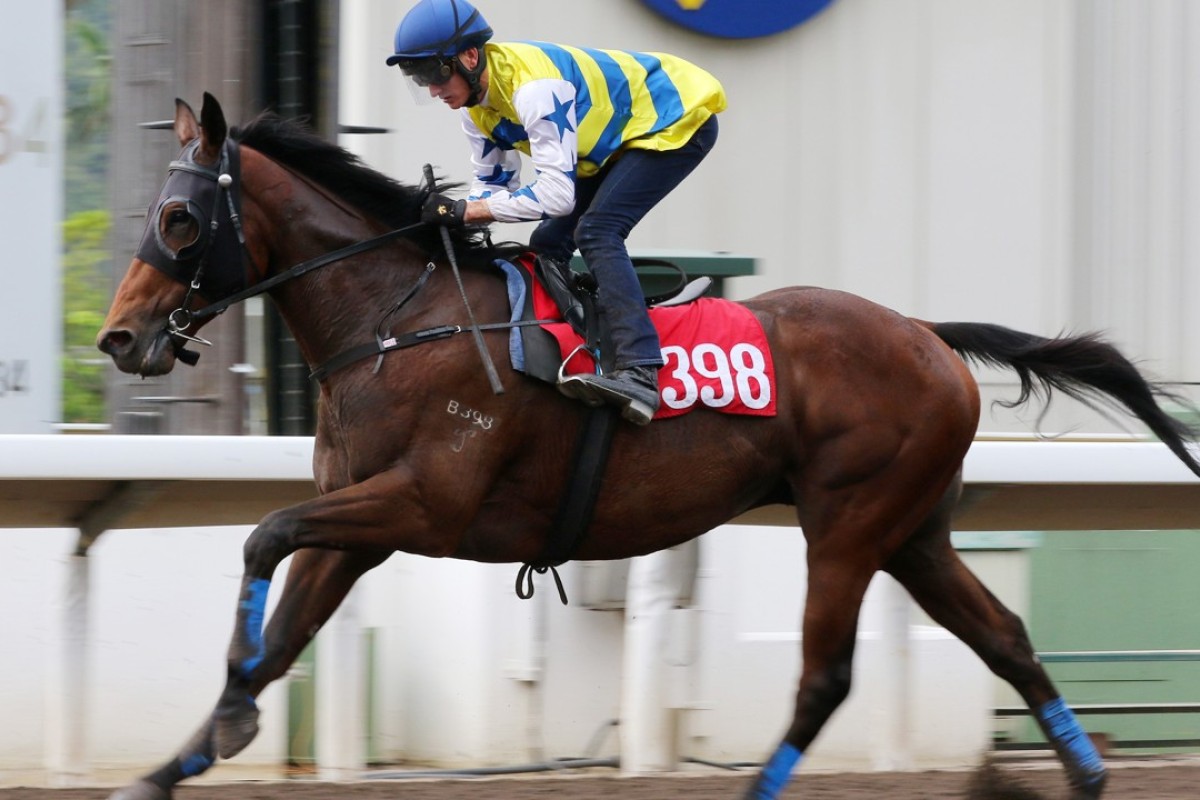 Chad Schofield rides Smart Patch to a barrier trial victory last season. Photos: Kenneth Chan