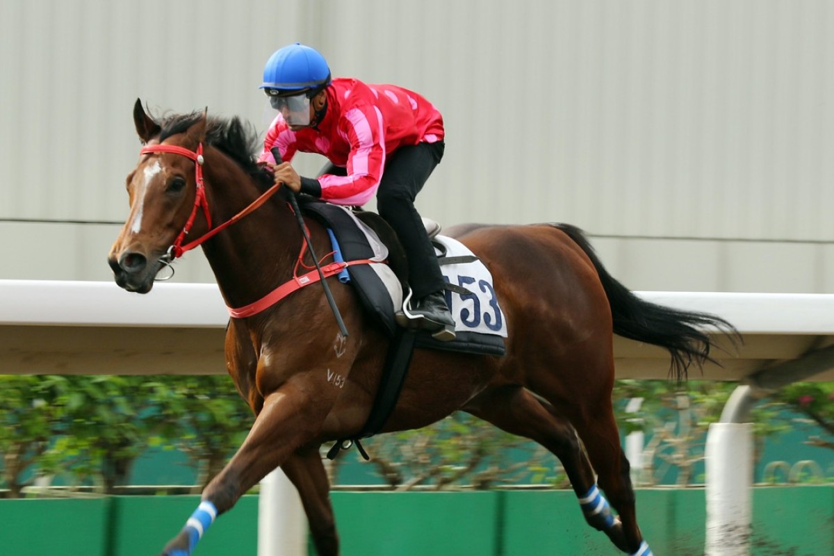 Karis Teetan cruises to a solid barrier trial victory at Sha Tin last week on Mr Stunning. Photos: Kenneth Chan