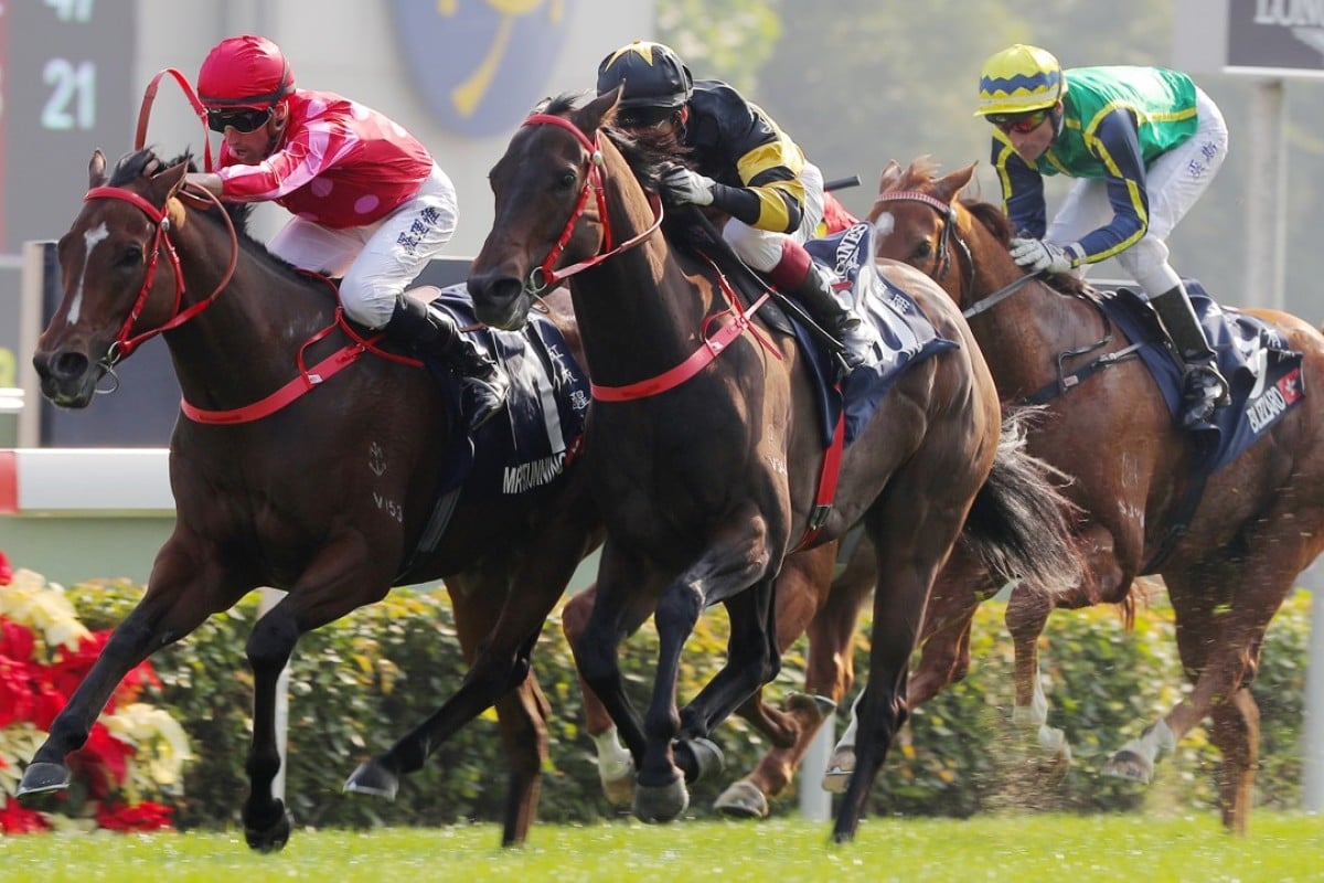 HKIR: Mr Stunning out to spoil former handler John Size’s Sprint party ...