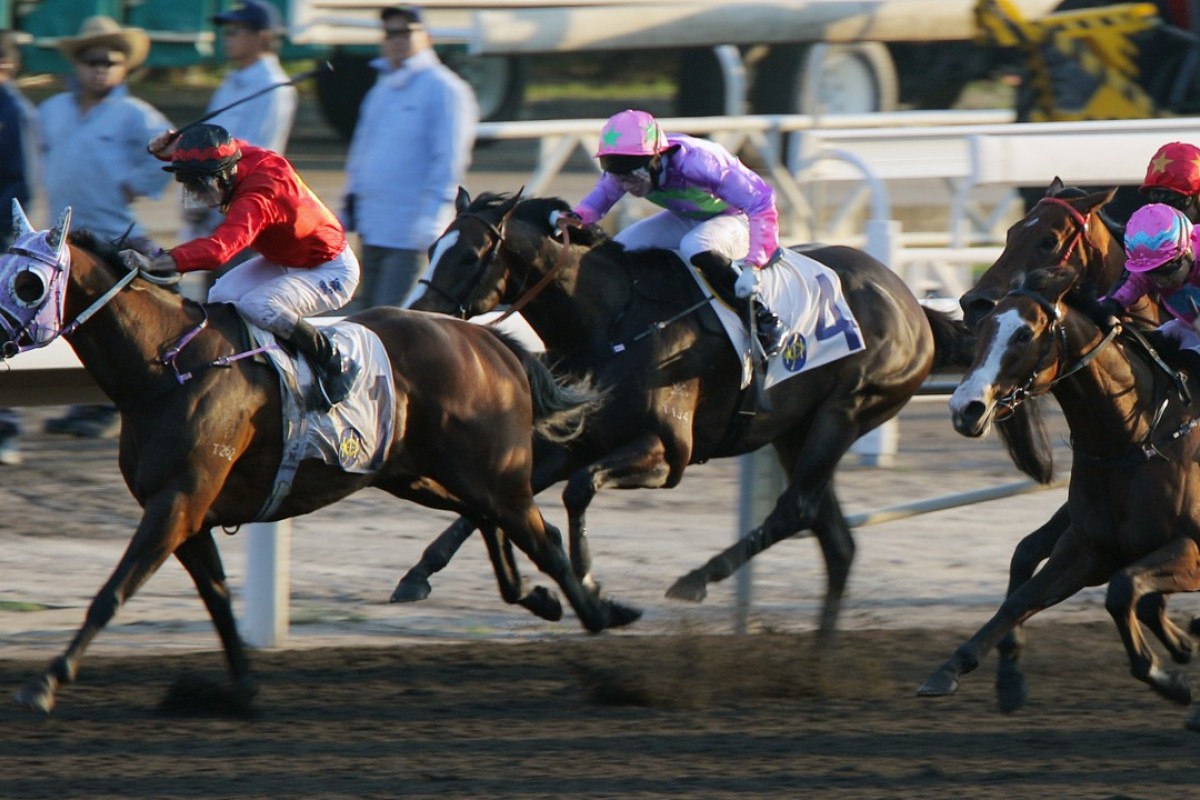 Zac Purton guides Hang’s Decision to victory at Sha Tin on Sunday. Photos: Kenneth Chan