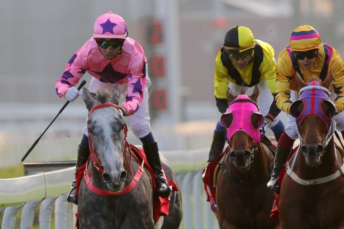 Hot King Prawn (left) wins the Jockey Club Sprint last month. Photos: Kenneth Chan