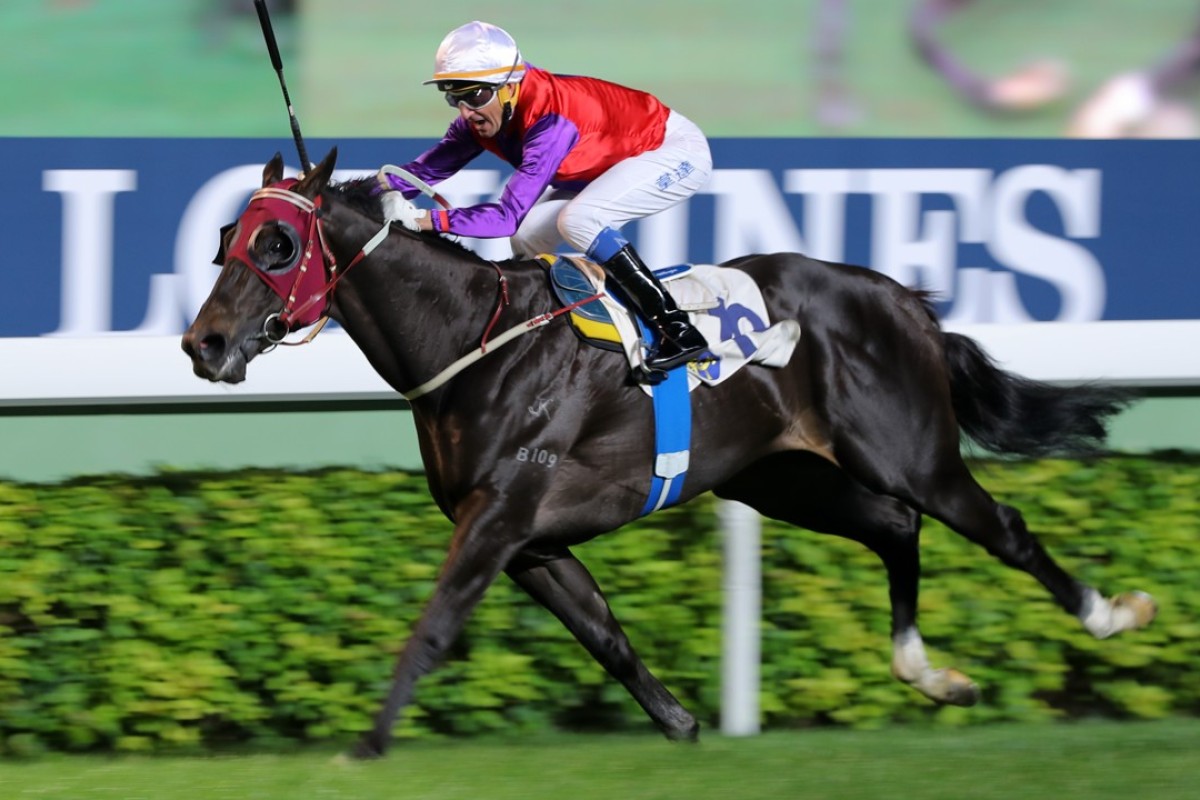 Encouraging wins at Sha Tin on Sunday. Photos: Kenneth Chan