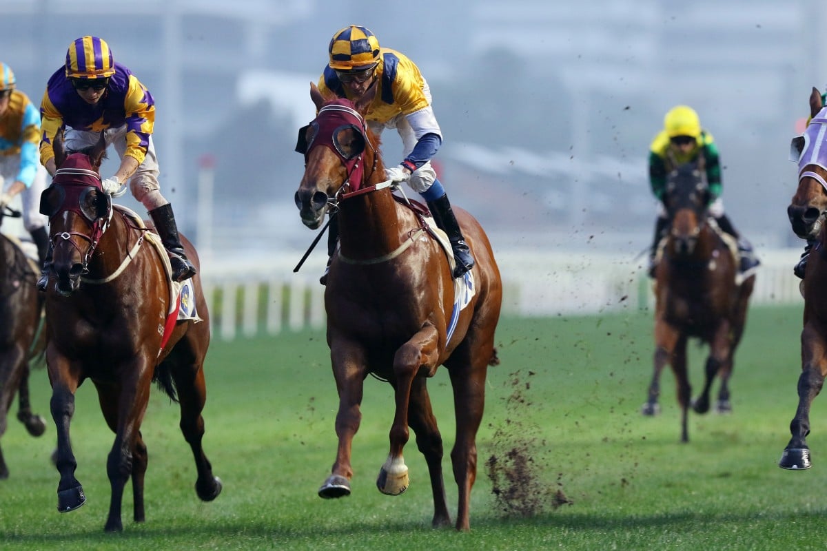 Douglas Whyte lifts Styling City to victory at Sha Tin on Sunday. Photos: Kenneth Chan