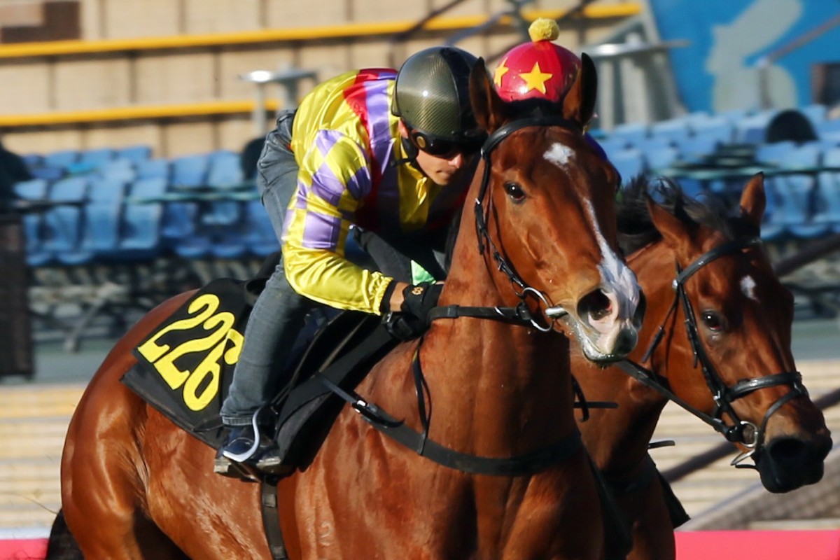 Alexis Badel rides Winner Supreme in a barrier trial. Photos: Kenneth Chan