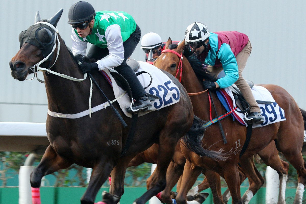 Pakistan Star sprints down the Sha Tin all-weather track to win a trial on Friday morning. Photos: Kenneth Chan