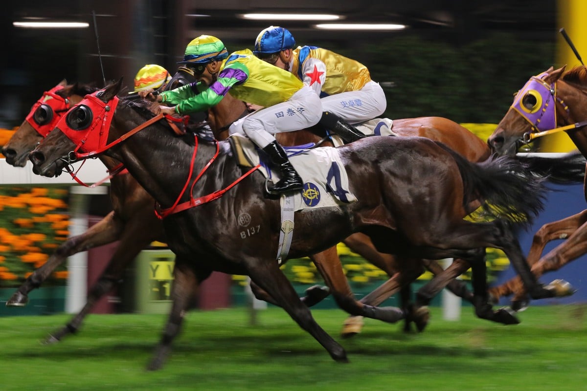 Karis Teetan lifts Clement Legend over the line. Photos: Kenneth Chan