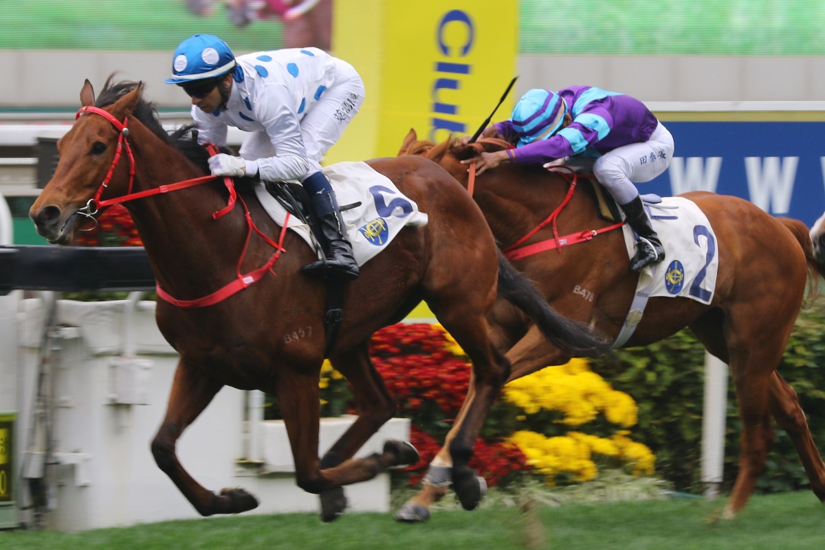 Joao Moreira pilots Enrichment to victory. Photos: Kenneth Chan
