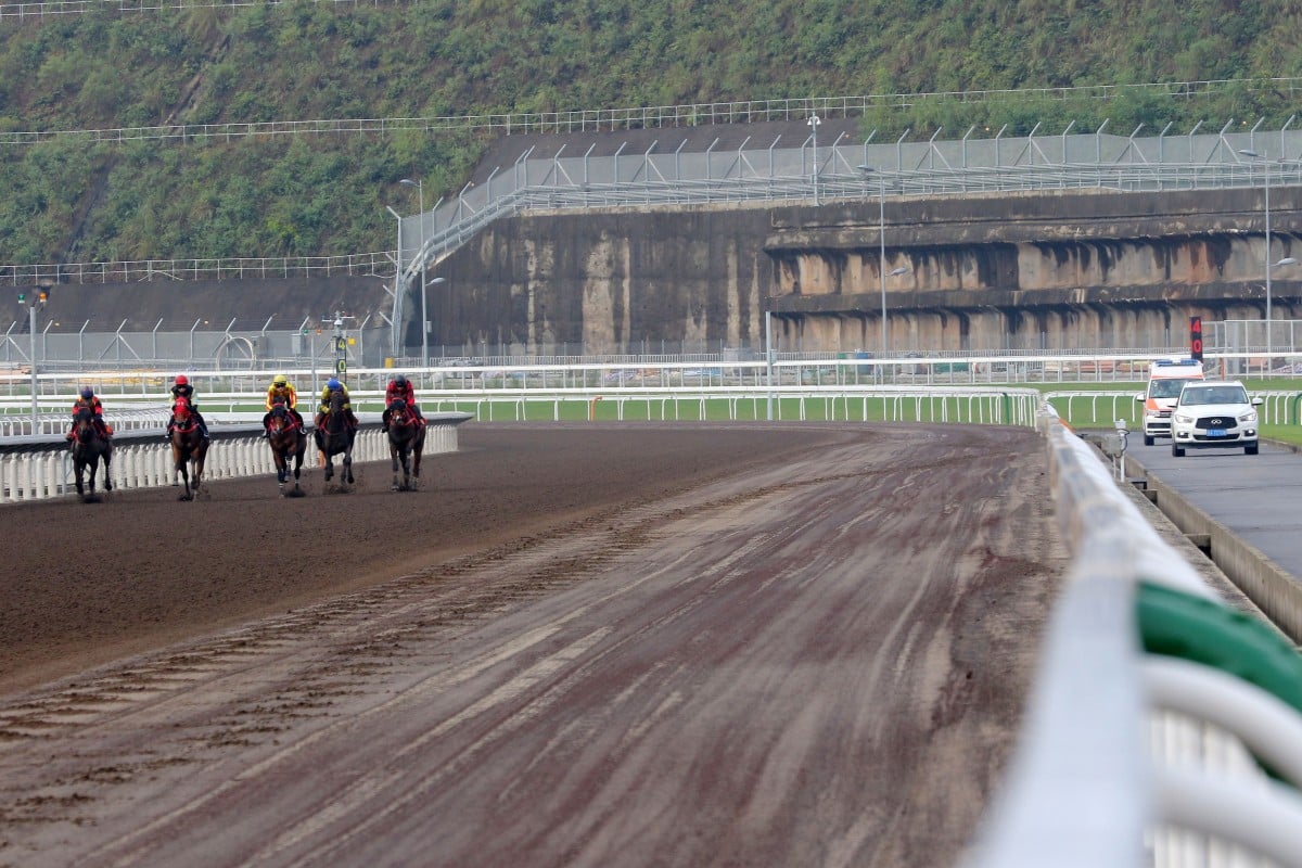 Horses trial at Conghua. Photo: Kenneth Chan