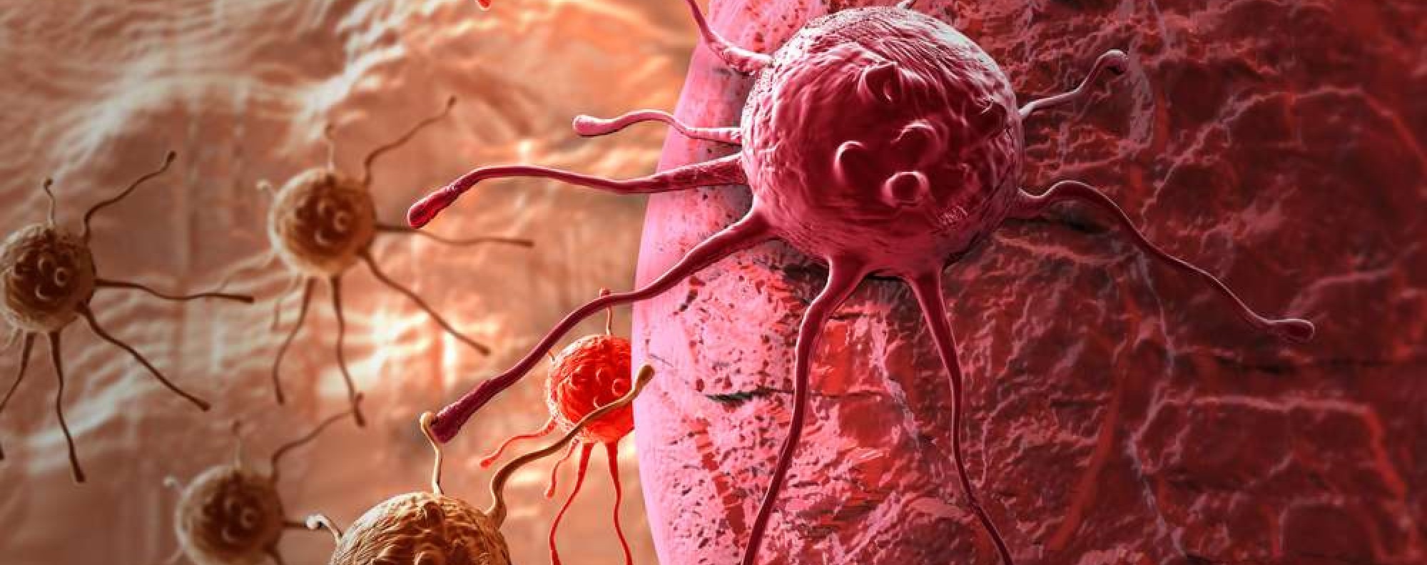 Memoirs of cancer: how facing up to the worst can sometimes bring out a  writer's best | South China Morning Post