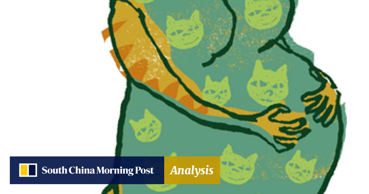Rant What The Cat Dragged In South China Morning Post