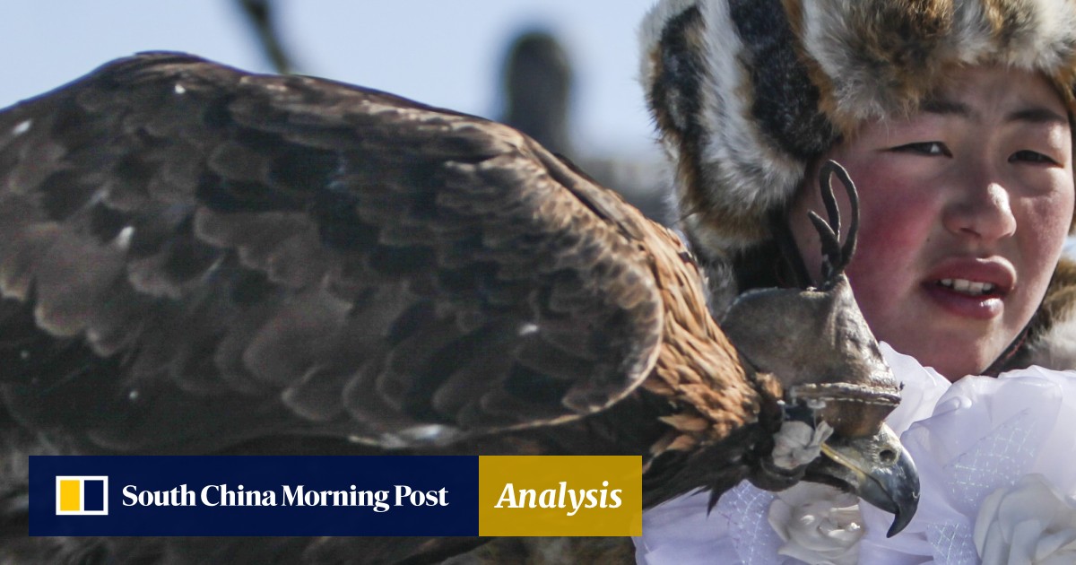 Revival Of Hunting With Eagles Gathers Pace In Mongolia As