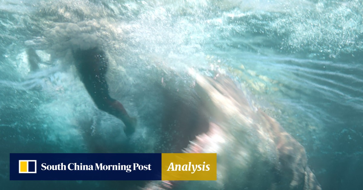 The 12 Best Sea Monster Movies Ranked If The Meg Doesn T Float Your Boat South China Morning Post
