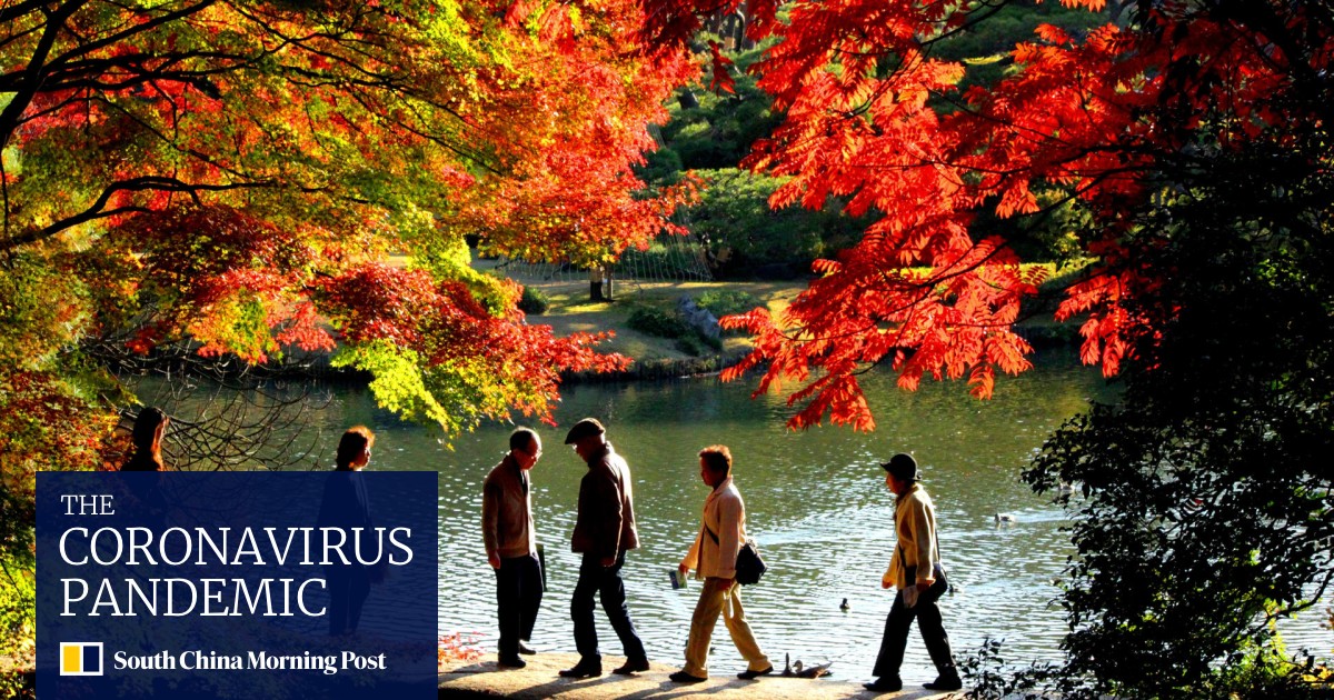 In Japan Viewing The Colours Of Maple Leaves In Autumn Is A Cultural Obsession South China Morning Post In Japan Viewing The Colours Of Maple Leaves In Autumn Is A Cultural Obsession South China Morning Post