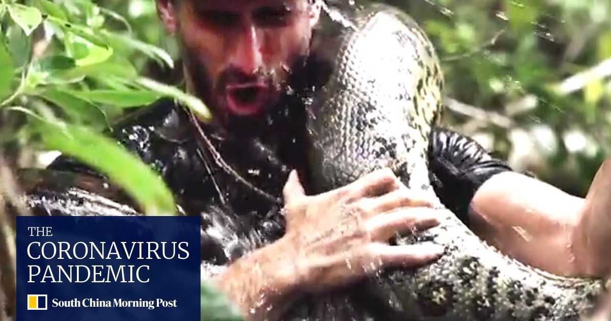 Eaten Alive Snake Swallowing Man Stunt Sparks Fury Over Discovery Channel Show South China Morning Post