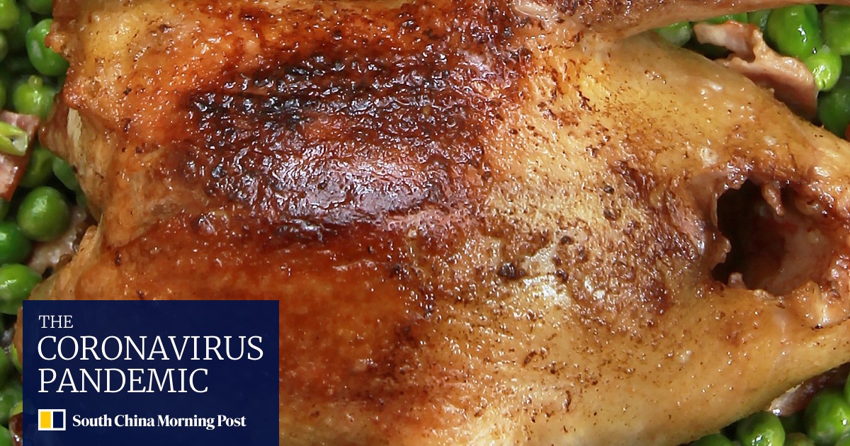 45 Minute Meal Recipes Pigeons With Green Peas And Sweet Potato And Salt Roasted Fish With Braised Fennel South China Morning Post 45 Minute Meal Recipes Pigeons With Green Peas And Sweet Potato And Salt Roasted Fish With Braised Fennel South China Morning Post