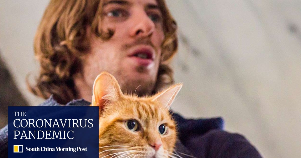 Film Review A Street Cat Named Bob True Story Of Addict And Feline Will Warm The Heart South China Morning Post