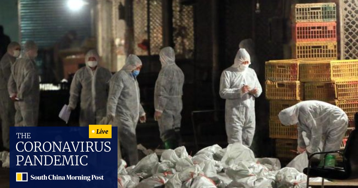 Shanghai Tests Show H7n9 Bird Flu In Chickens South China Morning Post Voa weishi is a channel broadcast from china. shanghai tests show h7n9 bird flu in