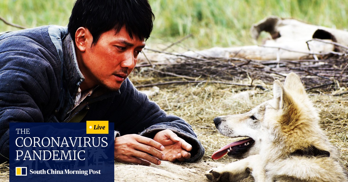 Wolf Totem Writer Blasts Hit Film Over Fake Mongolian Culture South China Morning Post