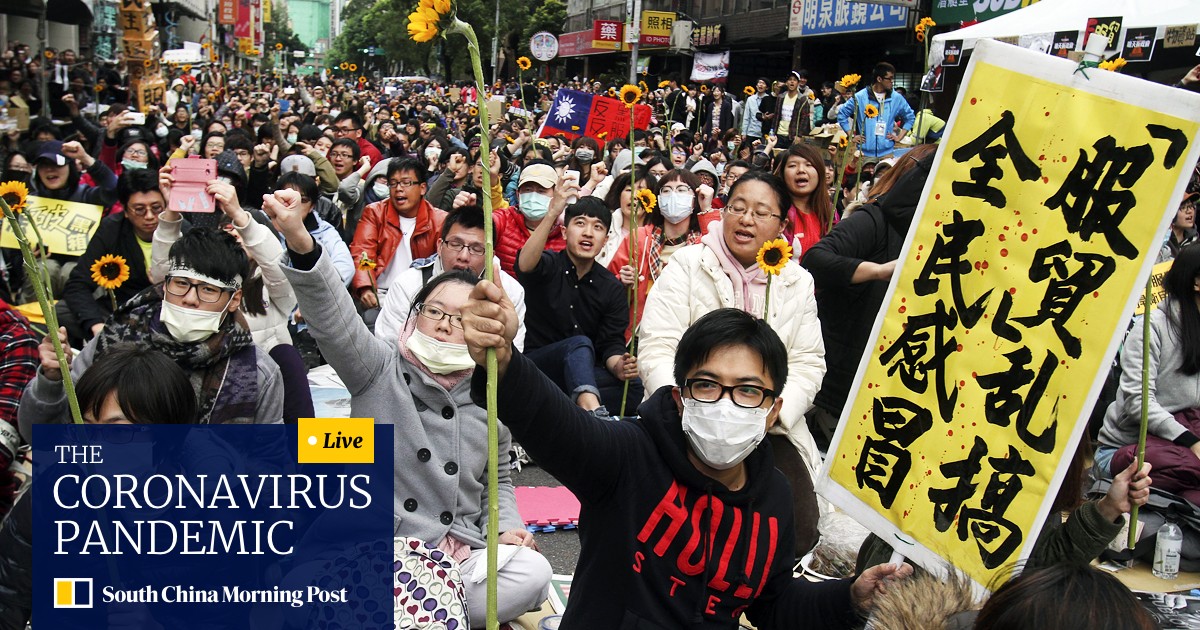 One Year On Impact Of Sunflower Movement Protests In Taiwan Continues To Blossom South China Morning Post