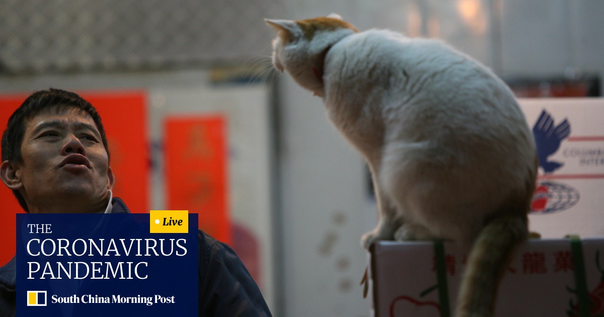 A Game Of Cats And Rats And Snakes The Politics Of Balancing