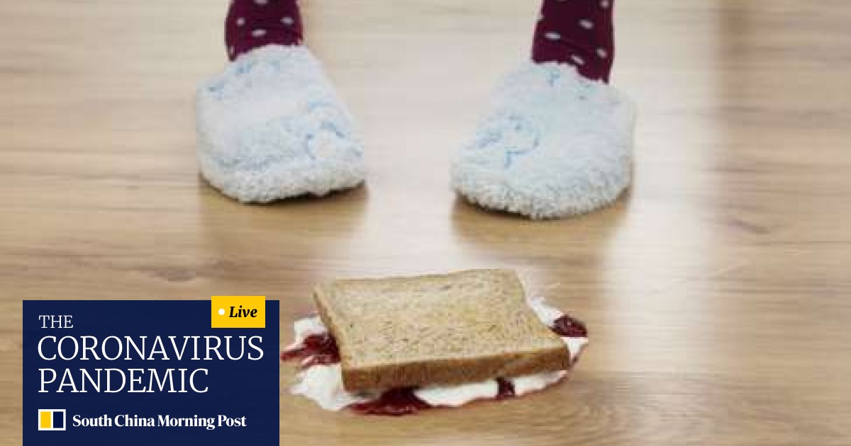 The Five Second Rule Why You Can T Always Use It For Food Dropped On Floor South China Morning Post