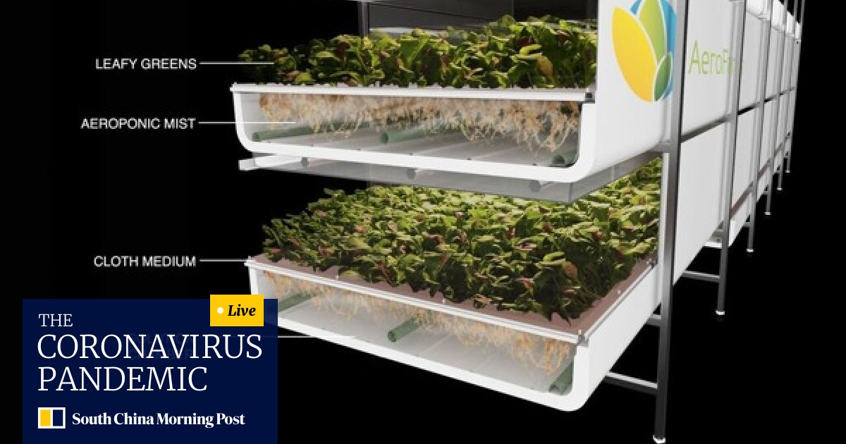 The Future Of Farming Japan Goes Vertical And Moves Indoors