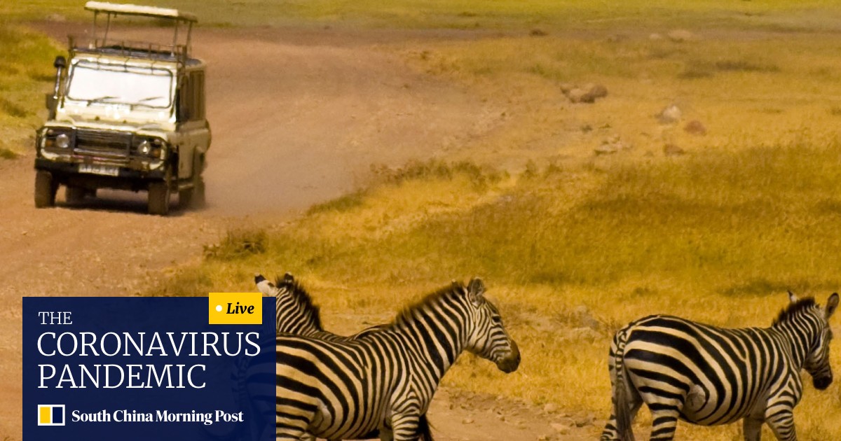 The Good Bad And Ugly Sides To African Safaris South China