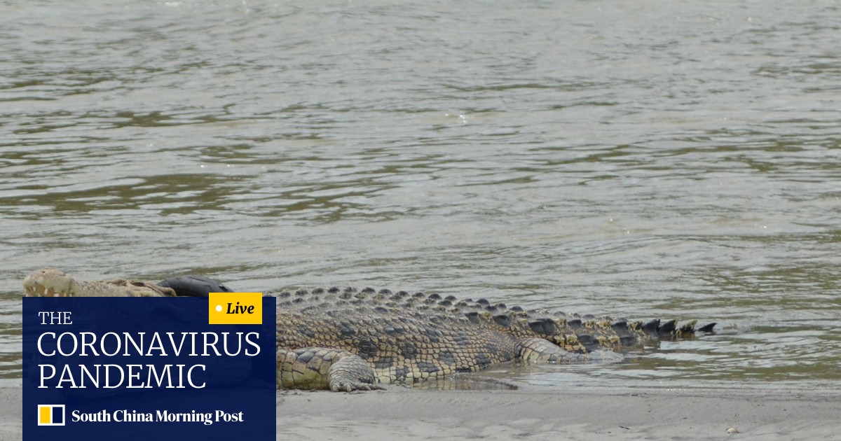 Deaths Of Indonesia S 300 Crocodiles In Mob Rampage Must Not Go Unpunished South China Morning Post