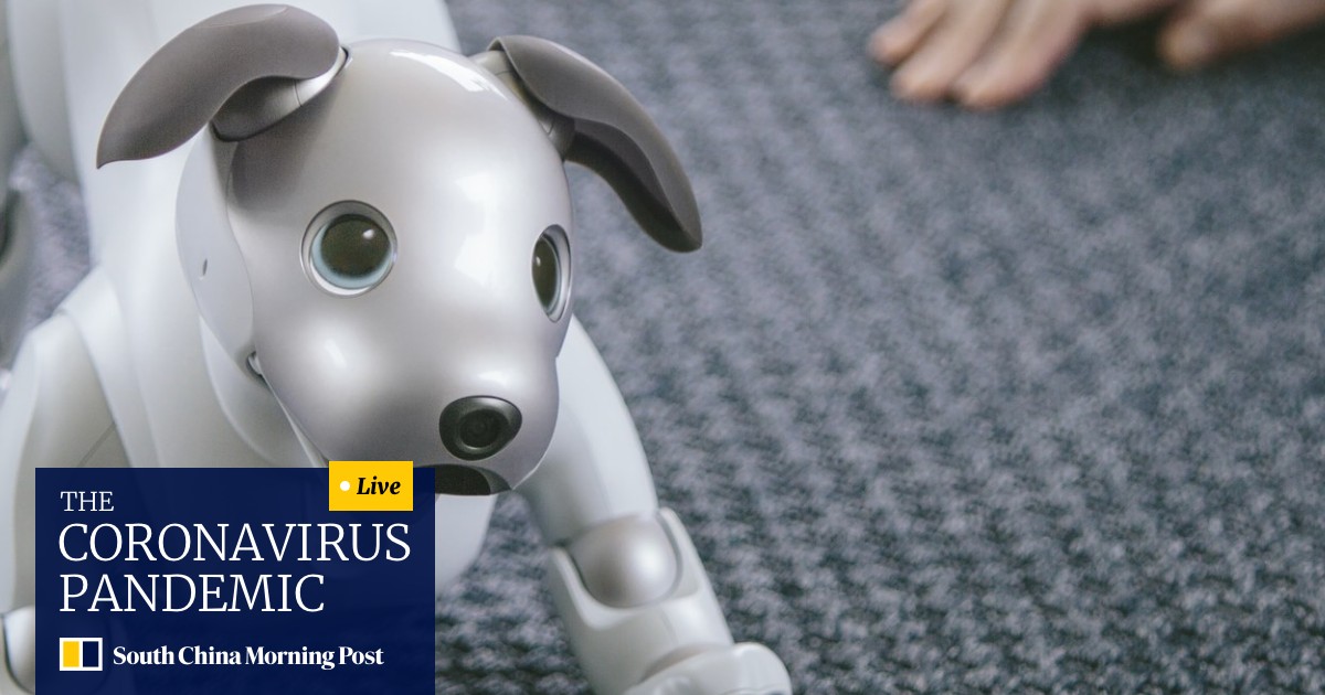 realistic robot pets