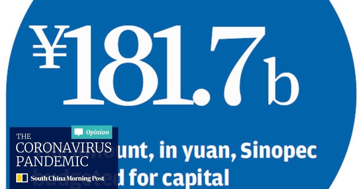 Breathtaking Sinopec Financial Statements 2019 Under Armor Auditor