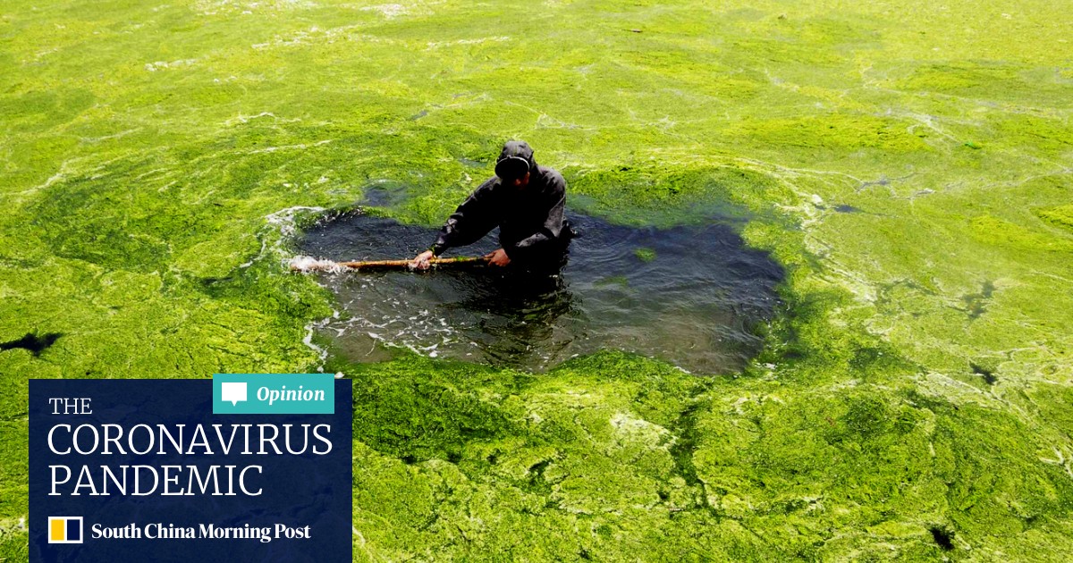 How To Get Algae Out Of Boat Carpet Carpet Vidalondon