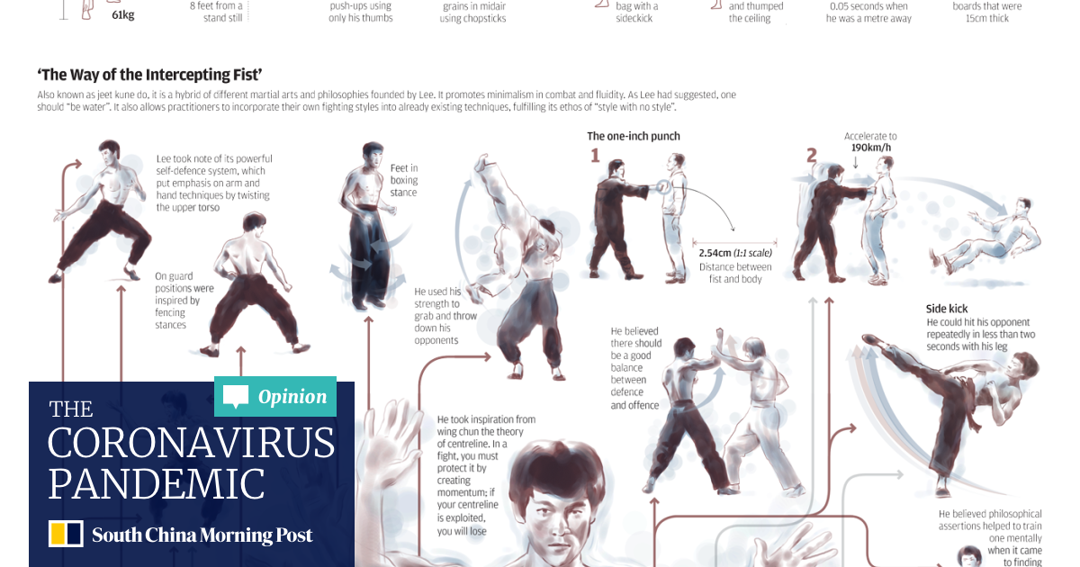 Download Bruce lee spark HD Bruce Lee Spark