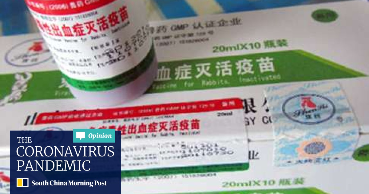Fake Vaccines Blamed For Killing 800 Rabbits On Farm In China South China Morning Post