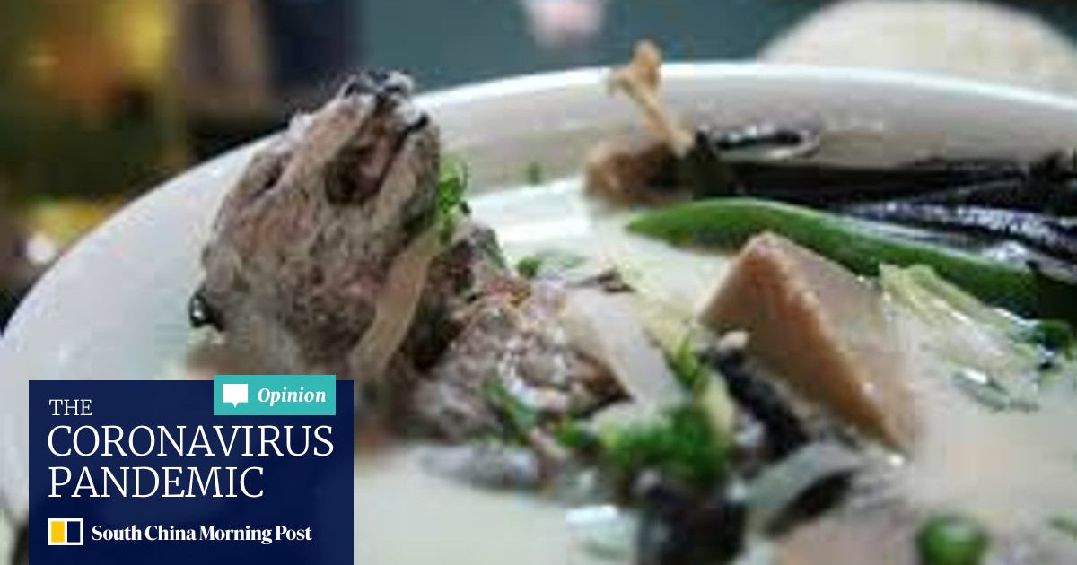 The Most Disgusting And Shocking Foods From Around The World