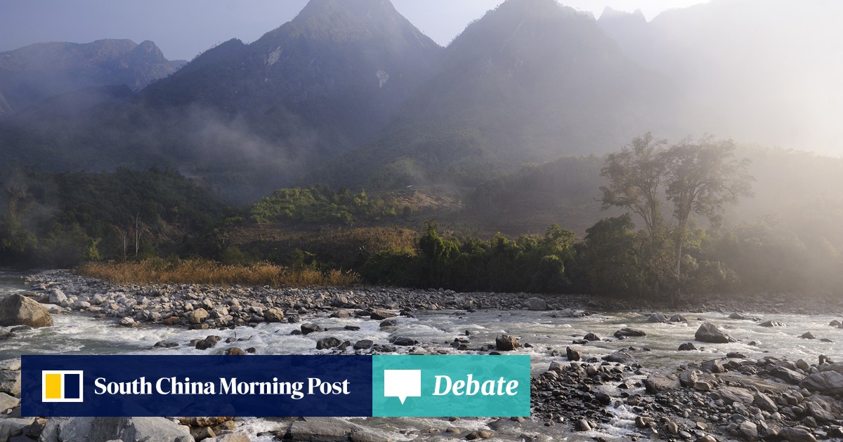 Myanmar Snub Nosed Monkey Facing Extinction South China