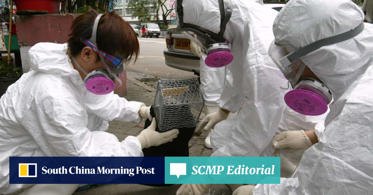How Hong Kong Deals With Gutter Rats But Not The Utter Rats - 