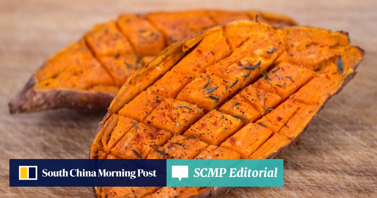What Did Vegan Racing Driver Lewis Hamilton Eat To Fuel His Fifth Formula One World Title South China Morning Post