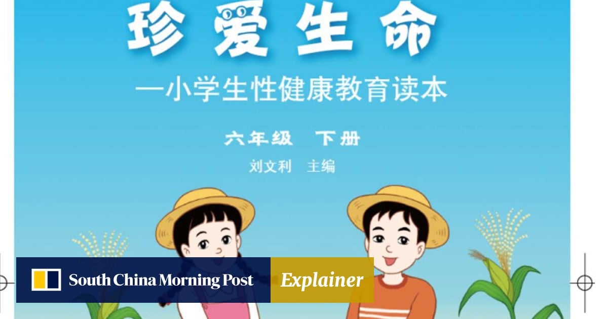 Chinese Sex Jabardasti Cartoon Video - Sex, lies and China's uproar over a primary school textbook ...