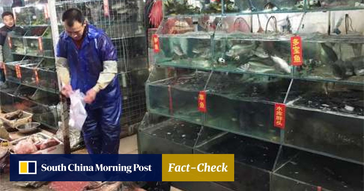 China aquarium fish market location