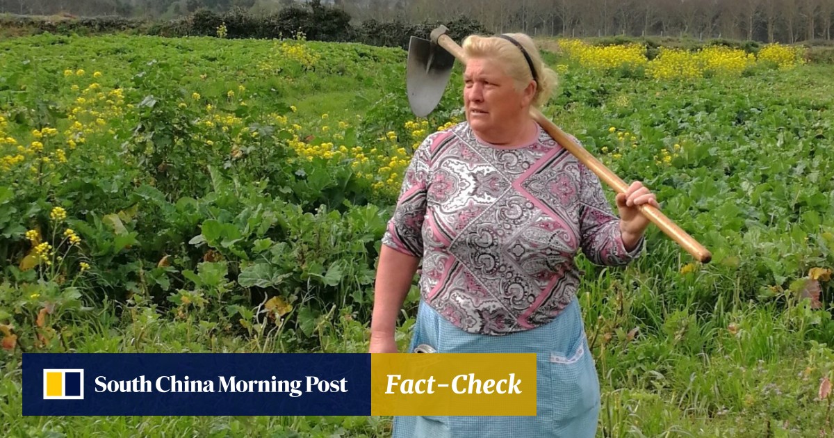 Spanish Potato Farmer Dolores Leis Looks A Lot Like Donald Trump