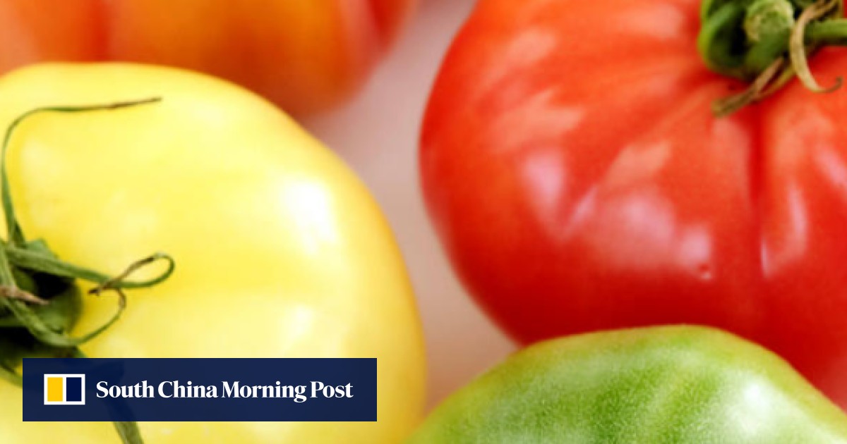 Heirloom tomatoes what to look for and how to store them South China