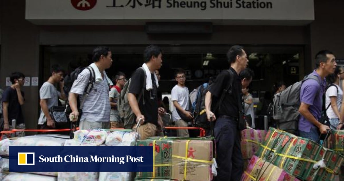 Hong Kong Government Cracks Down On Cross-border Parallel Traders ...