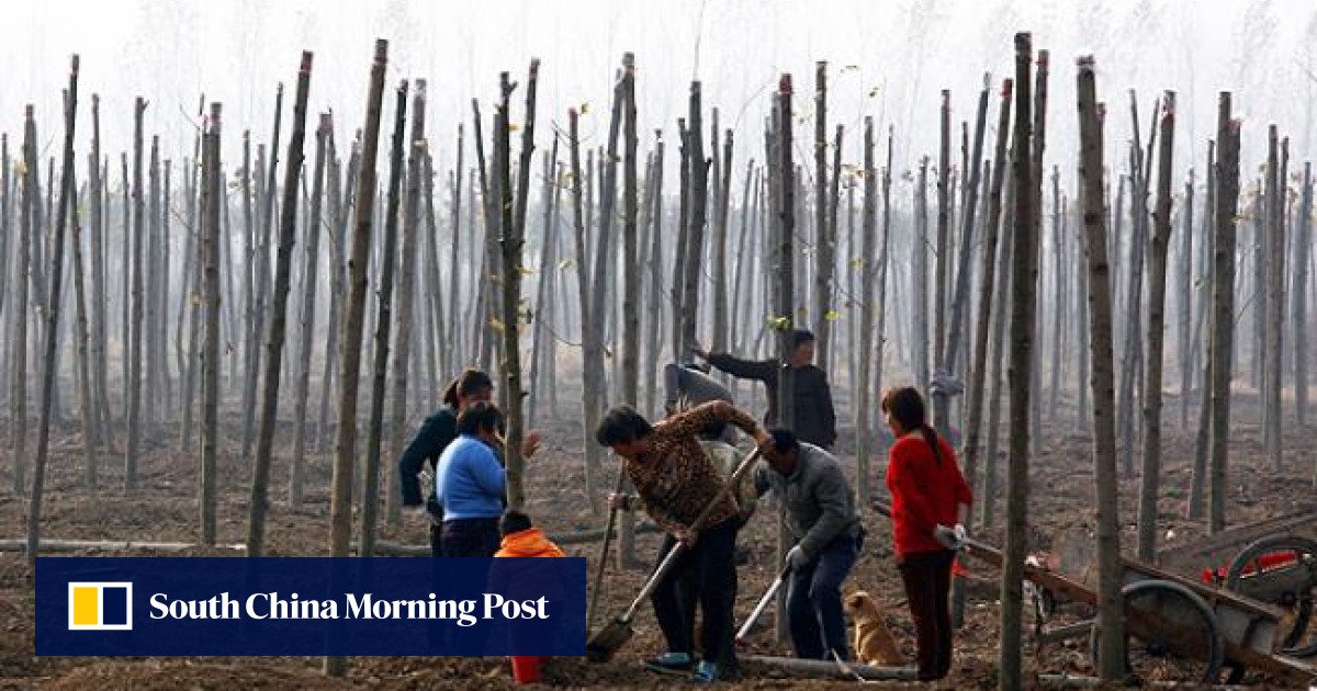 Report on mainland China's soil pollution a 'state secret' South
